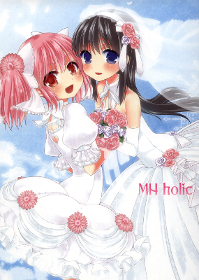 Mahou Shoujo Madoka★Magica - MH holic (Doujinshi)